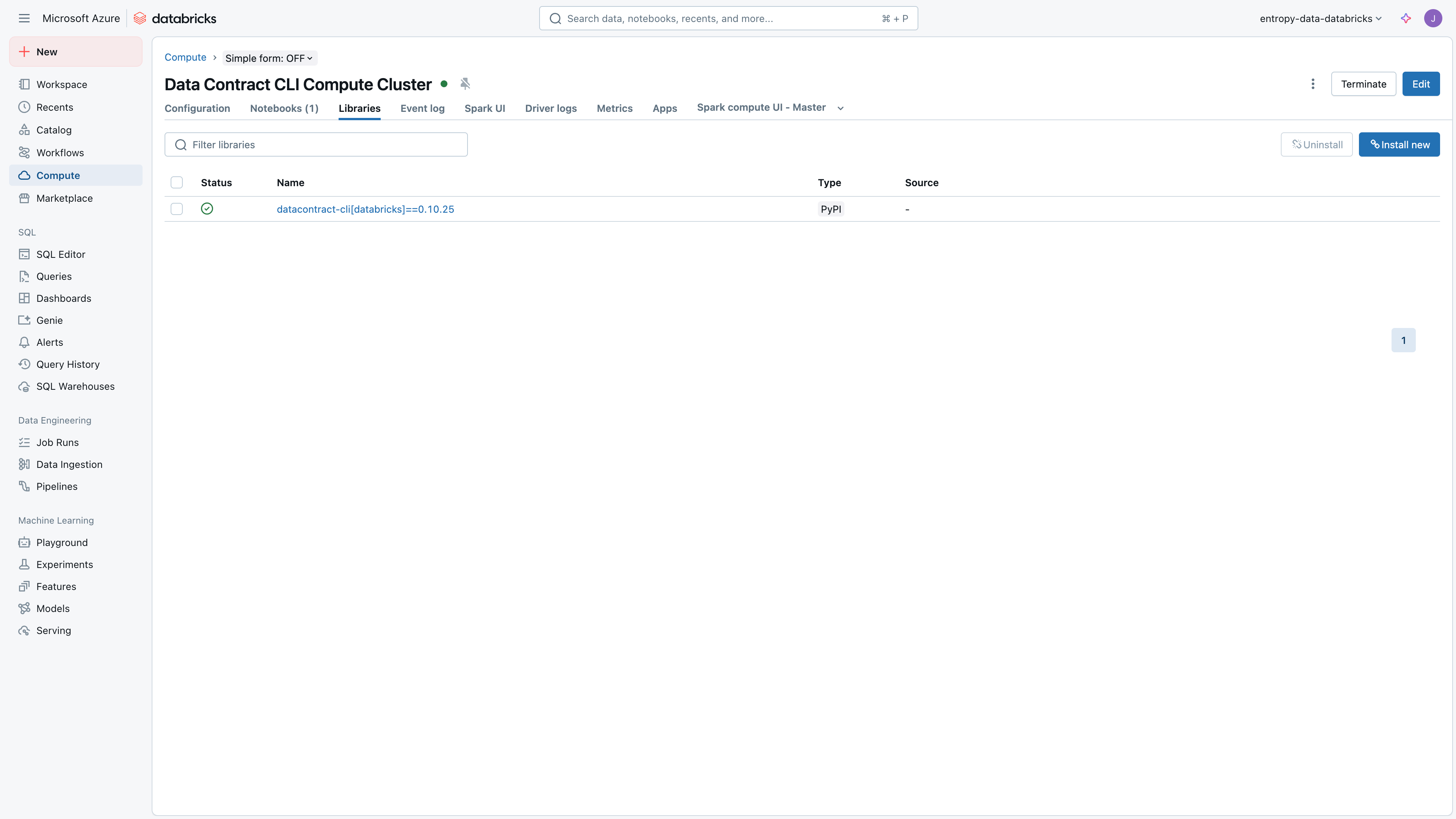 Databricks compute cluster with Data Contract CLI library installed